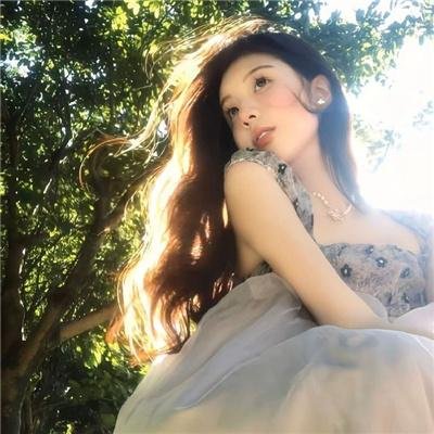 最后的维米尔